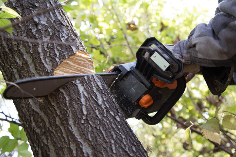 WEN 40V Max Lithium Ion 16-Inch Brushless Cordless Chainsaw with 4Ah Battery and Charger - Image 3