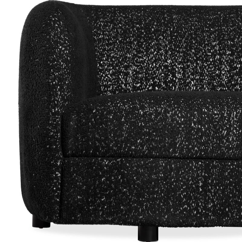 Furniture of America Sonya Tuxedo Indoor Boucle Fabric Armchairs & Accent Chairs, Black - Image 7