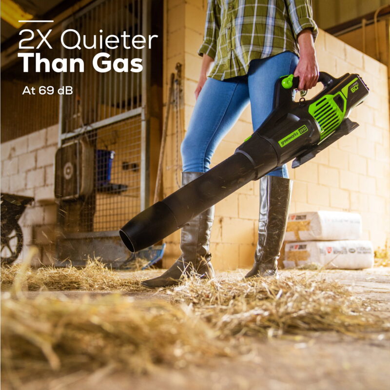 Greenworks 60V 610 CFM Cordless Brushless Leaf Blower with 2.5Ah Battery & Rapid Charger 2419402 - Image 5