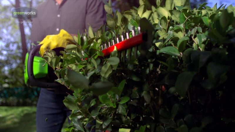 Greenworks 40V 12" Cordless Chainsaw with 2.0 Ah Battery & Charger, 20262 - Image 2
