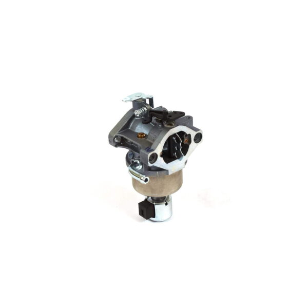 Briggs & Stratton OEM 594593  Carburetor
