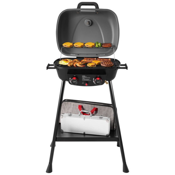 Royal Gourmet GT2003 Portable 2-Burner Gas Grill with Stand and Shelf, 2-in-1 Grill & Griddle Combo for Outdoor Camping, Tailgating and Picnics, BBQ, Gray