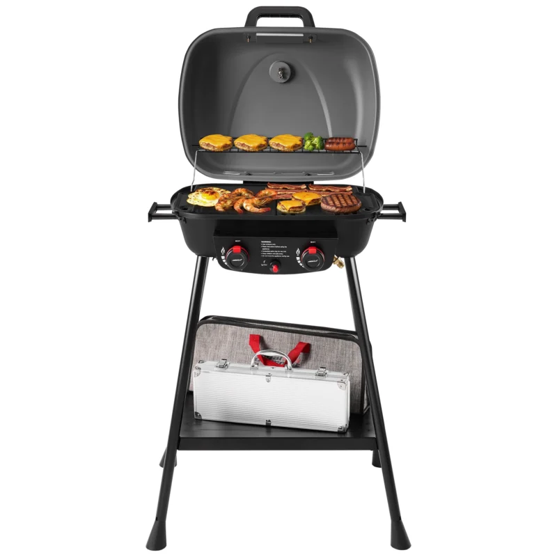 Royal Gourmet GT2003 Portable 2-Burner Gas Grill with Stand and Shelf, 2-in-1 Grill & Griddle Combo for Outdoor Camping, Tailgating and Picnics, BBQ, Gray