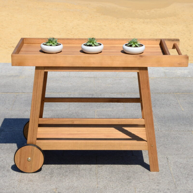 Safavieh Renzo 2 Tier Outdoor Farmhouse Wooden Bar Cart - Image 2